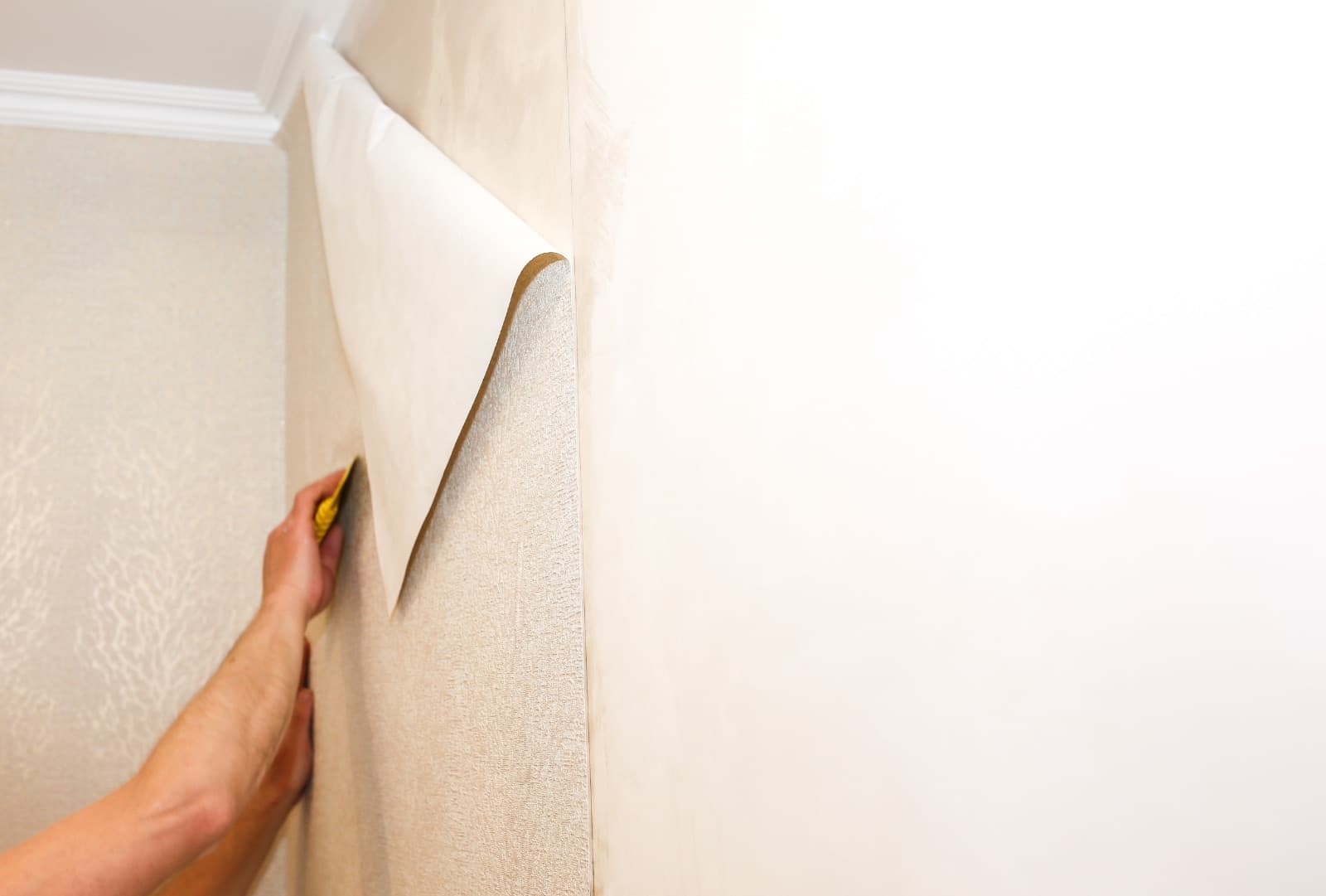 Wallpaper en Maryland, Virginia y Washington DC — Proven